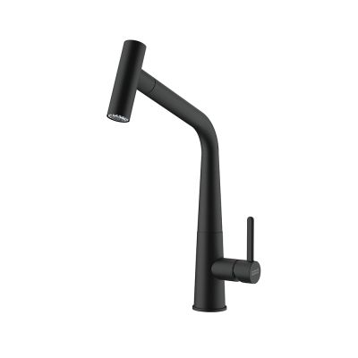 Смесител за кухня FRANKE, Icon Pull Out Shower Side HP